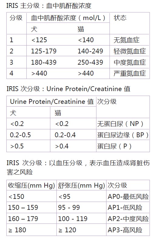 IM电竞官网