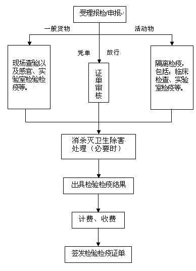 IM电竞官网