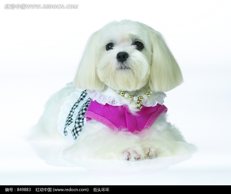 2014金山区小学、初中招生政策问答一览-IM电竞(图3) IM电竞平台