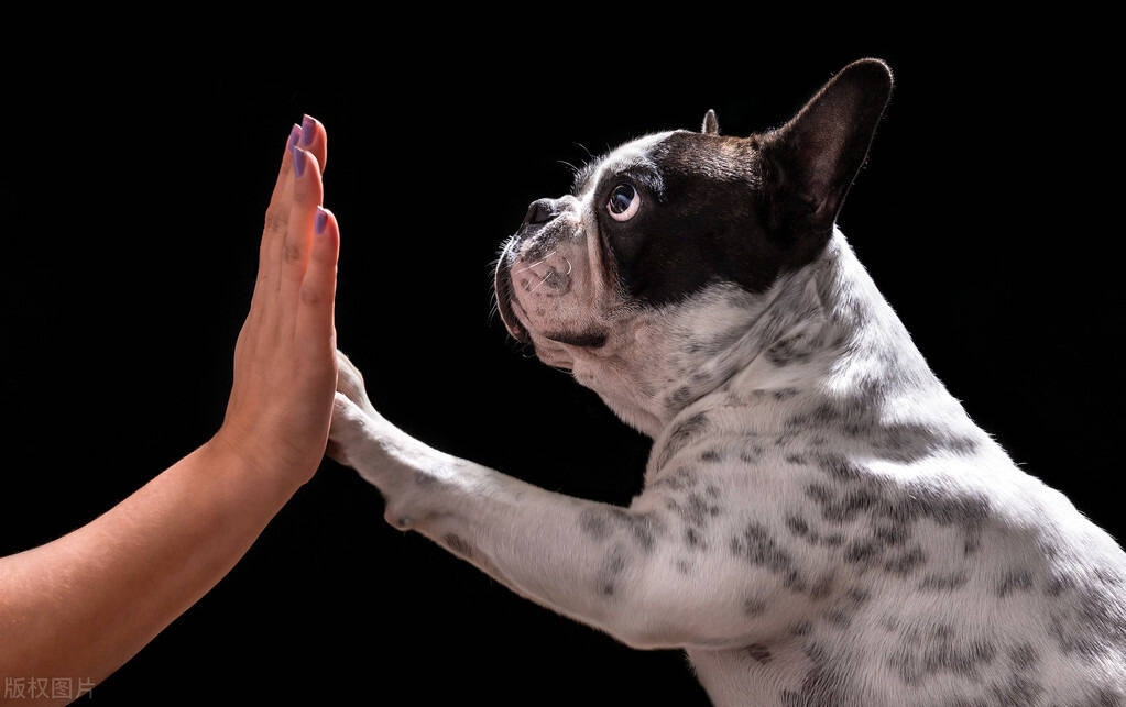 
当归补血汤 炖汤佳品 两种药 一个补气 一个补血 以气补血|IM电竞官网(图4)