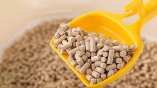 【IM电竞平台】淅川县西簧乡初中组织师生学习社会主义先进文化(图3) IM电竞官网