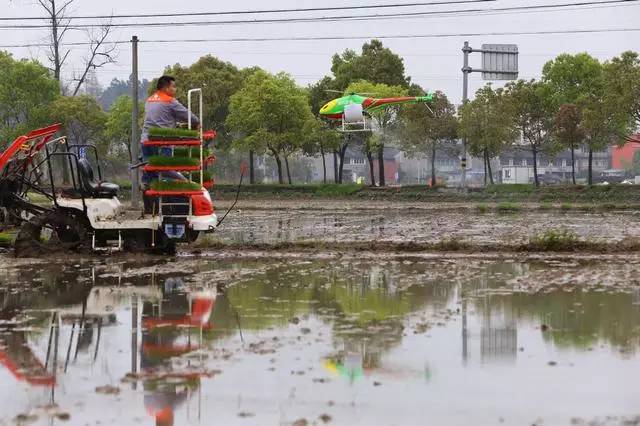 方城县实验小学举行2019年秋期中考表彰大会-IM电竞平台(图1) IM电竞平台