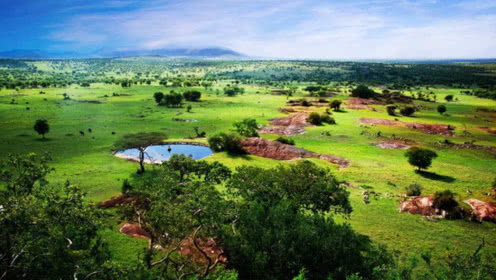 “IM电竞”
一夜3消息!湖人最新伤情 火箭选帅新动态 乔治1换4生意业务方案(图4) IM电竞