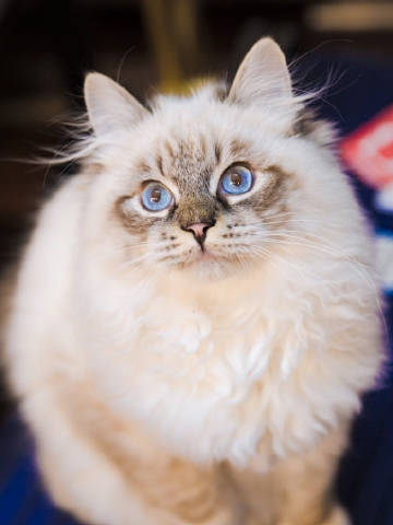 济源市济渎路学校举行援疆支教欢送会_IM电竞平台(图3) IM电竞官网